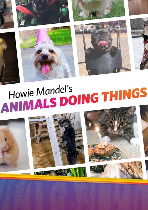 Howie Mandel's Animals Doing Things - Season 1 Howie Mandel's Animals Doing Things - Season 1