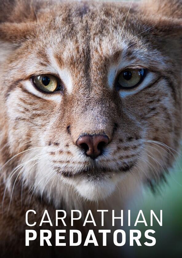 Carpathian Predators - Season 1 Carpathian Predators - Season 1