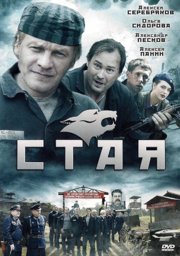 Стая - Season 1 Стая - Season 1
