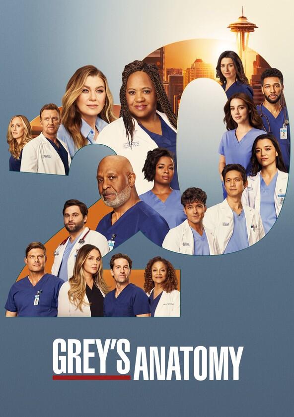 Grey's Anatomy - Season 22