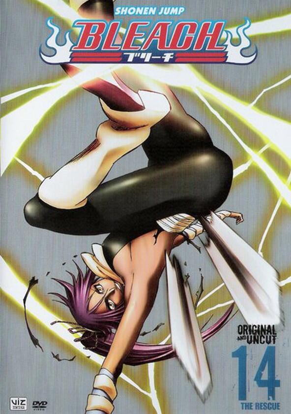 Bleach - Season 8 / Year 2011 Bleach - Season 8 / Year 2011