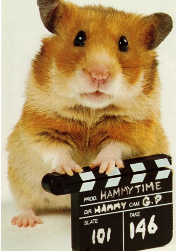 Once Upon a Hamster - Season 3 Once Upon a Hamster - Season 3