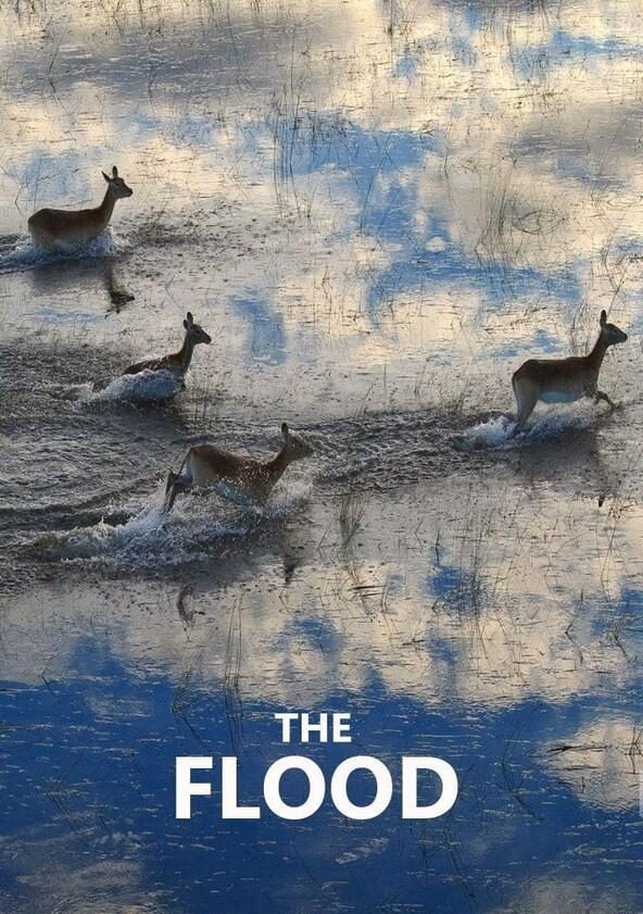 The Flood - Season 1 The Flood - Season 1