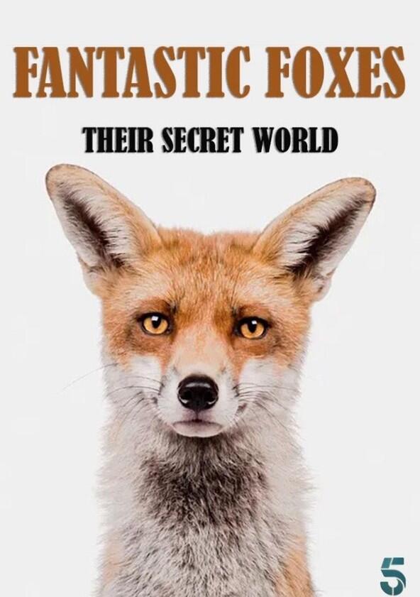 Fantastic Foxes: Their Secret World - Season 1 Fantastic Foxes: Their Secret World - Season 1