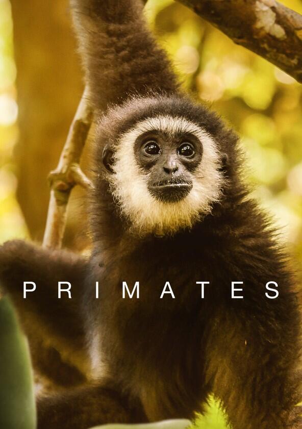 Primates - Season 1 Primates - Season 1