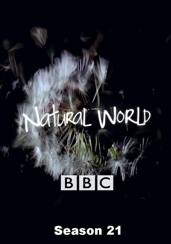 Natural World - Season 21 Natural World - Season 21
