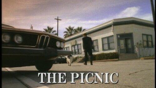 The Picnic The Picnic