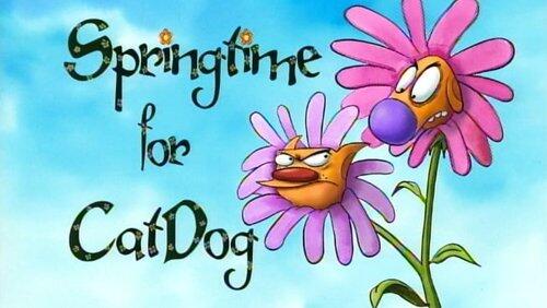 Springtime for CatDog Springtime for CatDog