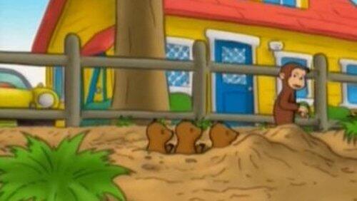 Monkey Underground Monkey Underground