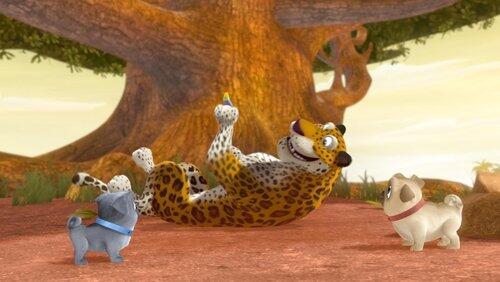 Speedy as a Cheetah