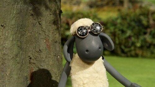 Ewe've Been Framed Ewe've Been Framed