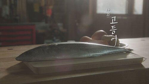 Episode 14 Episode 14