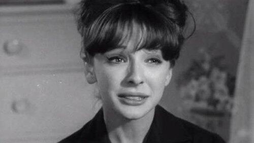 Where is Chick Lorrimer? Where Has She Gone? Where is Chick Lorrimer? Where Has She Gone?