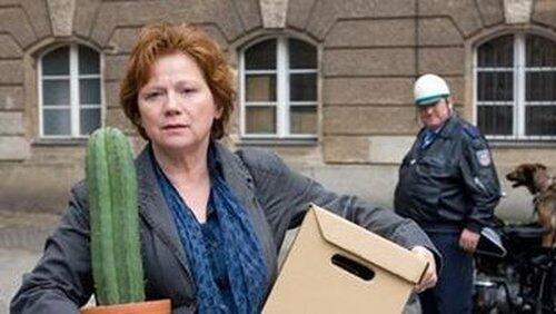 Fremde im Spiegel