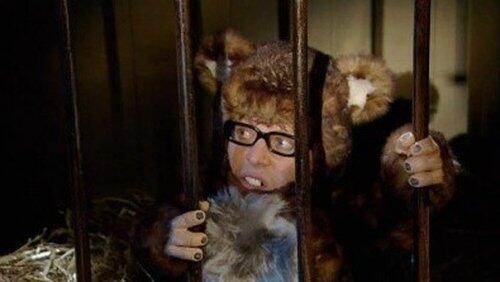 Blame It on the Bearboy Blame It on the Bearboy