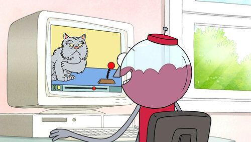 Cat Videos Cat Videos