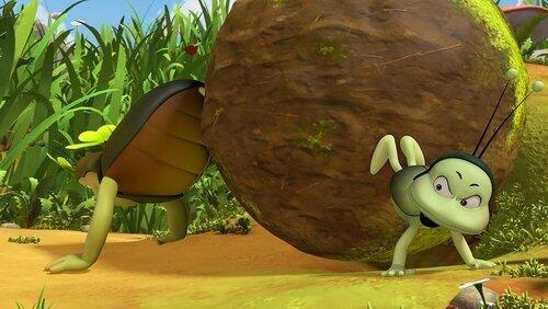 Dung Ball Drama Dung Ball Drama