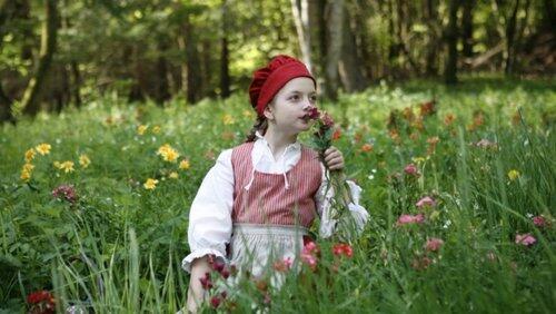 Little Red Riding Hood Little Red Riding Hood