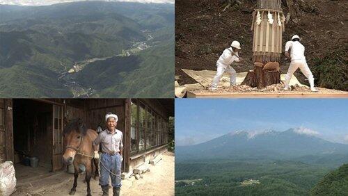 Kiso: The Forest of the Japanese Cypress Kiso: The Forest of the Japanese Cypress