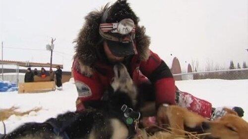 Chase on the Yukon Chase on the Yukon