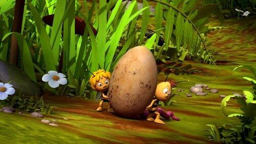 Follow That Egg Follow That Egg