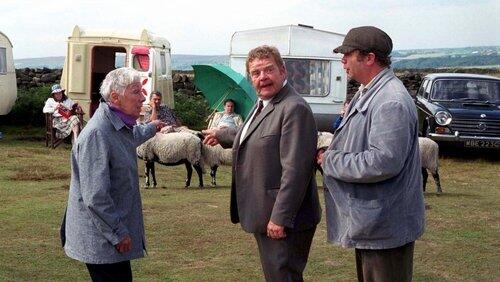 Waifs and Strays Waifs and Strays