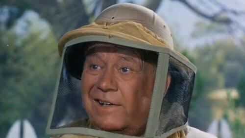 All That Buzzes Ain't Bees All That Buzzes Ain't Bees