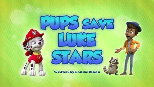 Pups Save Luke Stars Pups Save Luke Stars