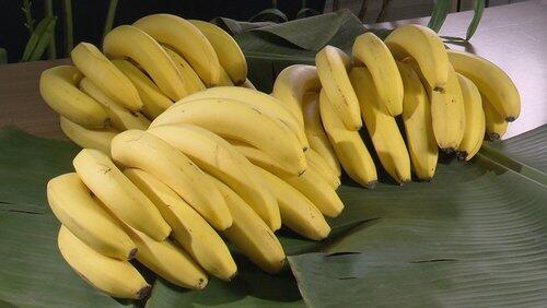 BANANAS BANANAS