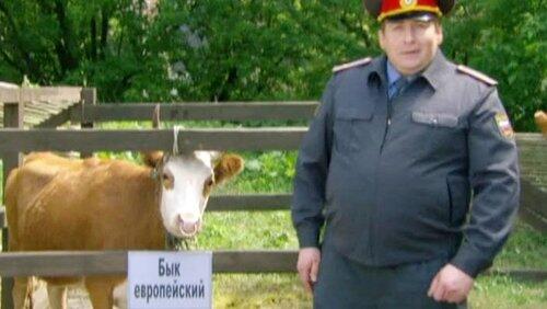 79 серия - Страх милиционера 79 серия - Страх милиционера