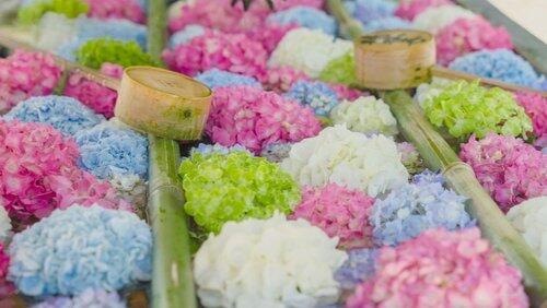Flower Art: Ephemeral Colors for the Mind and Soul Flower Art: Ephemeral Colors for the Mind and Soul