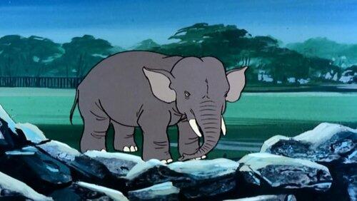One of Our Elephants is Missing One of Our Elephants is Missing