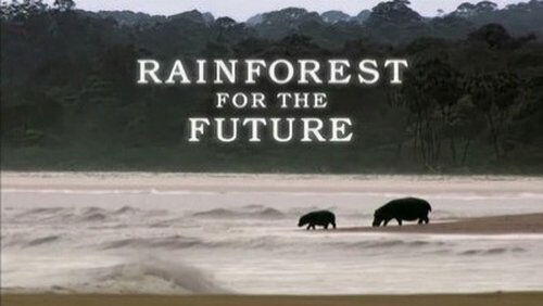 Rainforests for the Future Rainforests for the Future