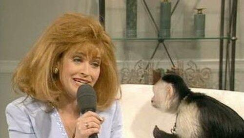 The Diet Mug Root Beer Dana Carvey Show
