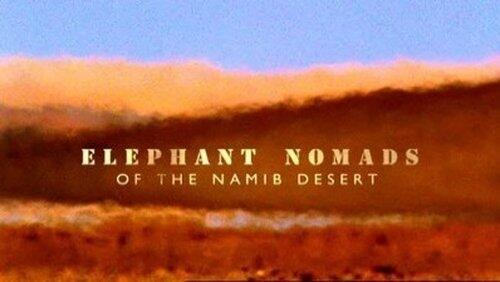 Elephant Nomads of the Namib Desert Elephant Nomads of the Namib Desert