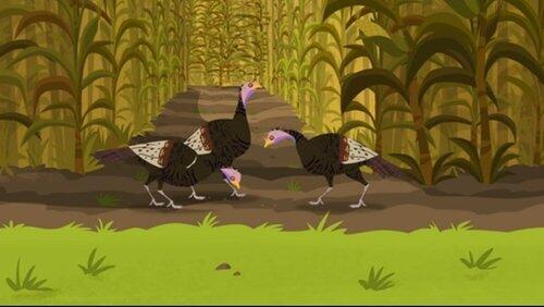 Happy Turkey Day Happy Turkey Day