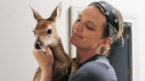 It's a Won-Doe-ful Life It's a Won-Doe-ful Life