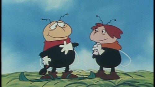 From the Meadow with Love From the Meadow with Love