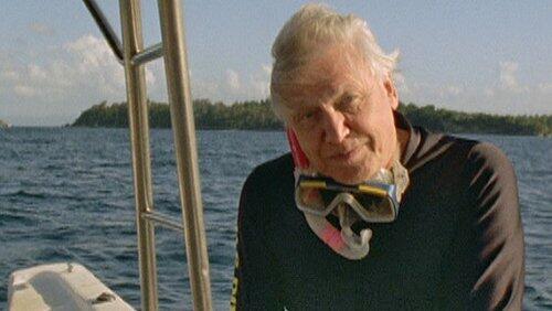 Song of the Earth with David Attenborough Song of the Earth with David Attenborough