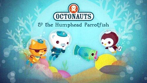 The Humphead Parrotfish The Humphead Parrotfish