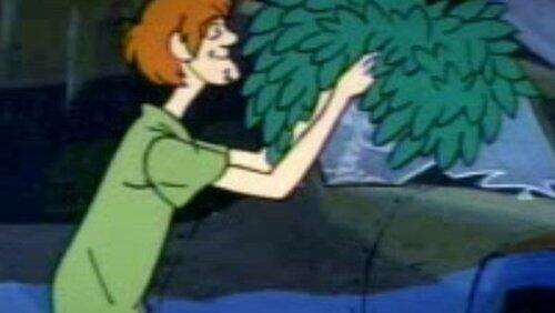 Shaggy Busted Shaggy Busted