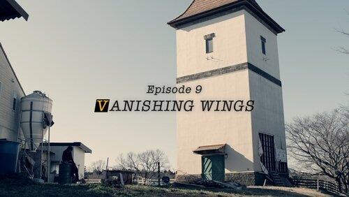 Vanishing Wings Vanishing Wings