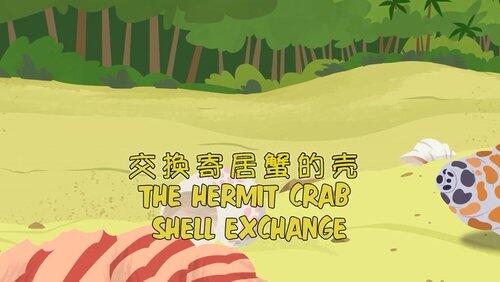 Hermit Crab Shell Exchange Hermit Crab Shell Exchange