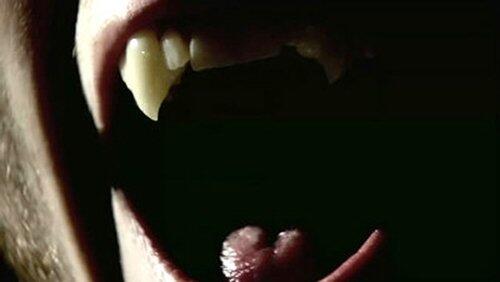Vampires in America Vampires in America