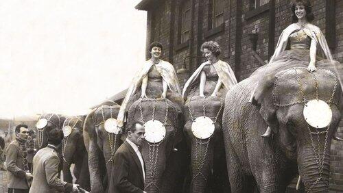 The Story of Circus The Story of Circus