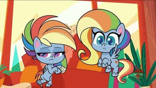 Flutterdash Flutterdash
