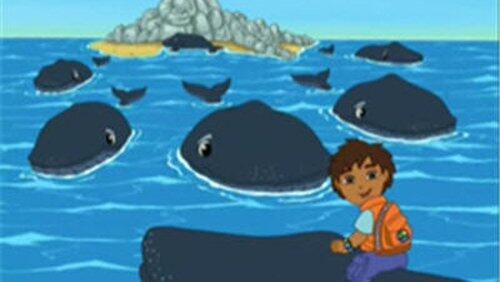Diego Saves Baby Humpback Whale Diego Saves Baby Humpback Whale