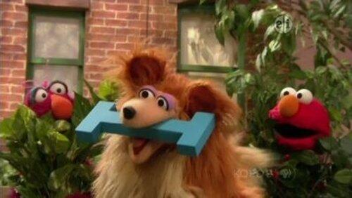 Fetch The Letter ‘I' Fetch The Letter ‘I'