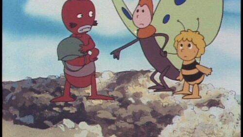 Lucky Beetle Lucky Beetle