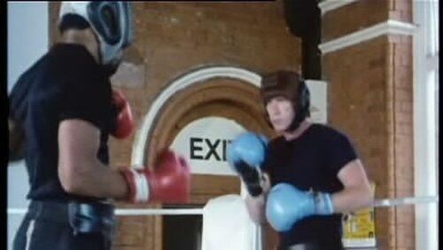 Rocky Eight and a Half Rocky Eight and a Half
